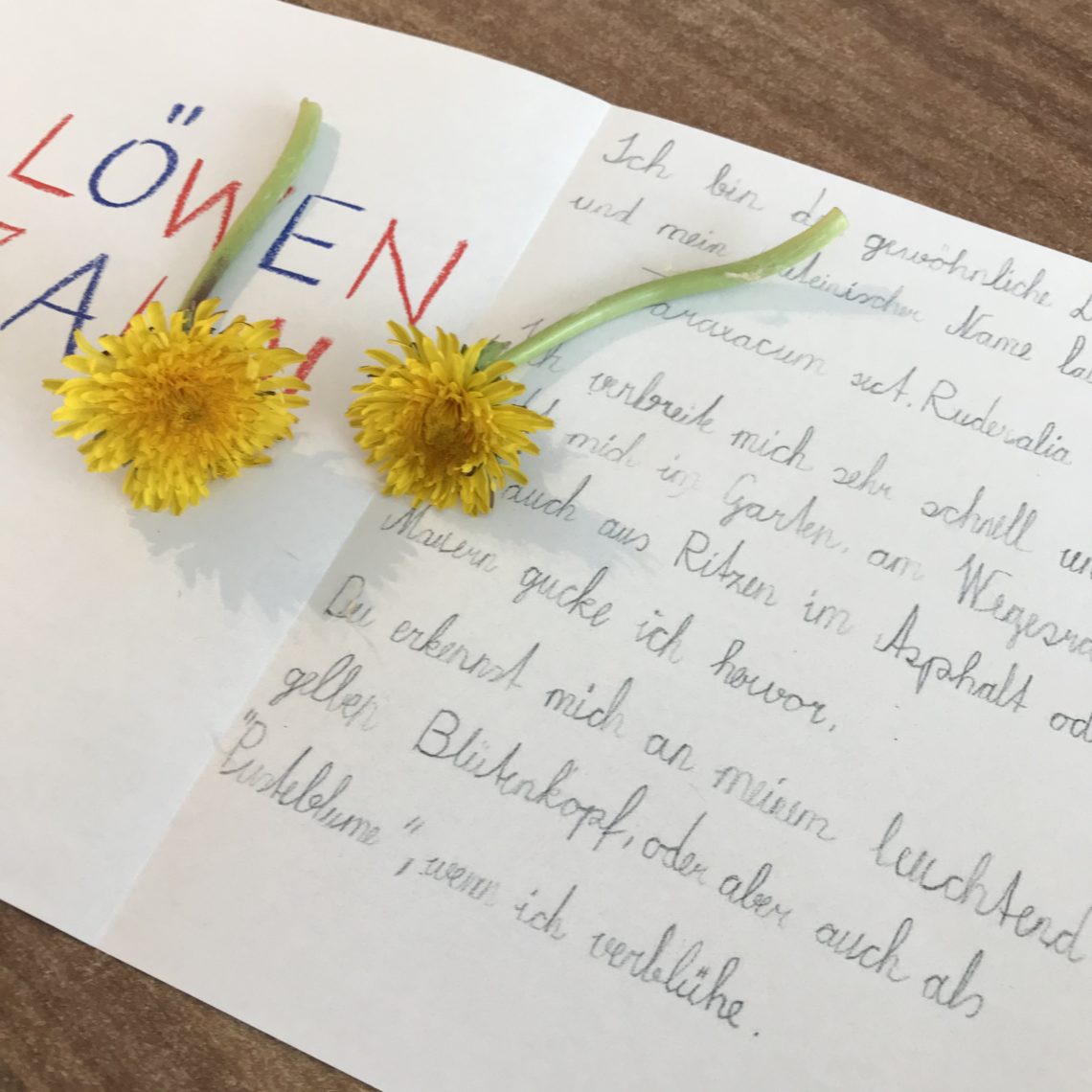 Blumenspiel kennenlernen